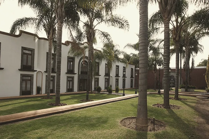 Jardines con palmeras frente a la hacienda